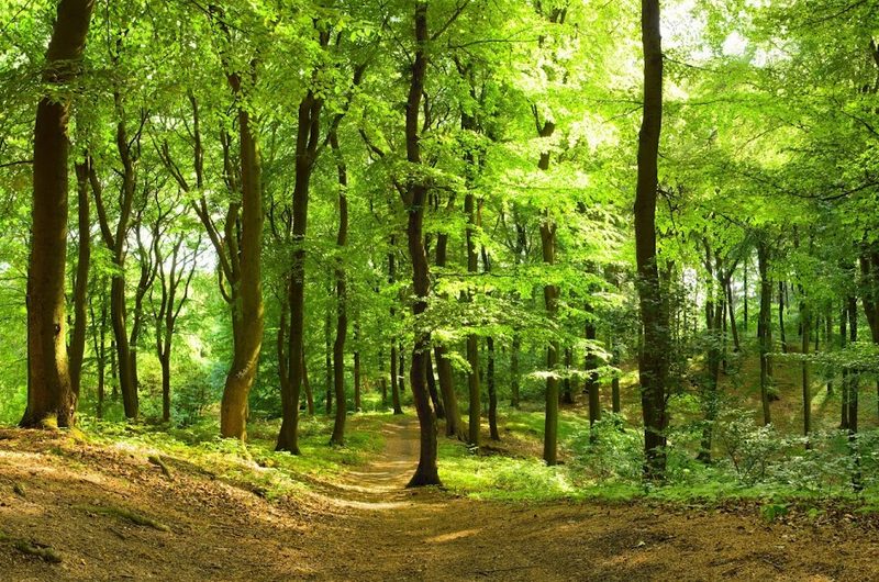 Pflegeheim Alten Wohn- und Pflegeheim – Außenansicht