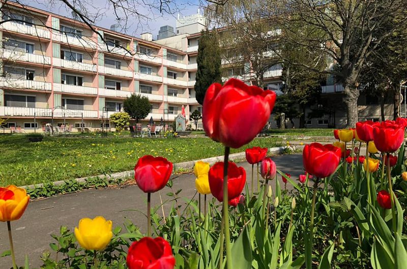 Ärzteheim Betriebsges.m.b.H.