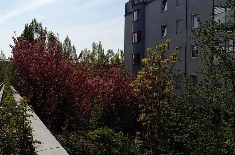 Pflegeheim CS Rennweg, CS Caritas Socialis – Außenansicht