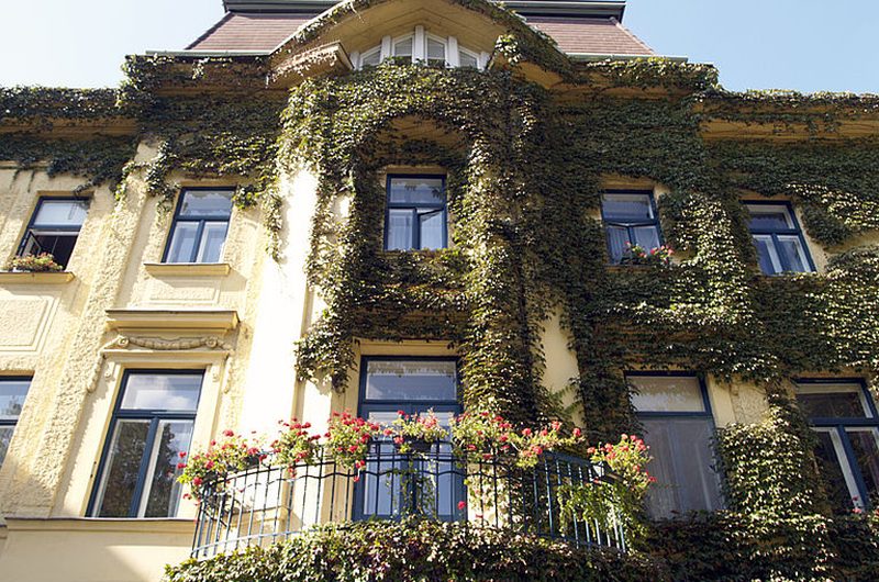 Pflegeheim Haus Schönbrunn,  Pflegewohnhaus, Caritas der Erzdiözese Wien – Außenansicht
