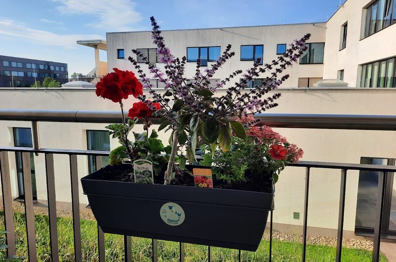 NÖ Pflege- und Betreuungszentrum Baden