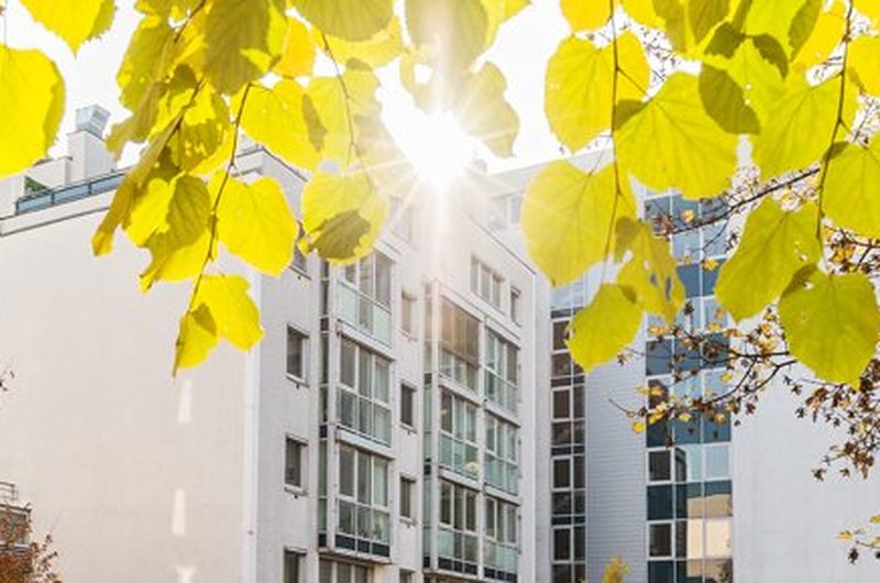 Pflegeheim Schlosspark Fortuna, Kuratorium Fortuna – Außenansicht