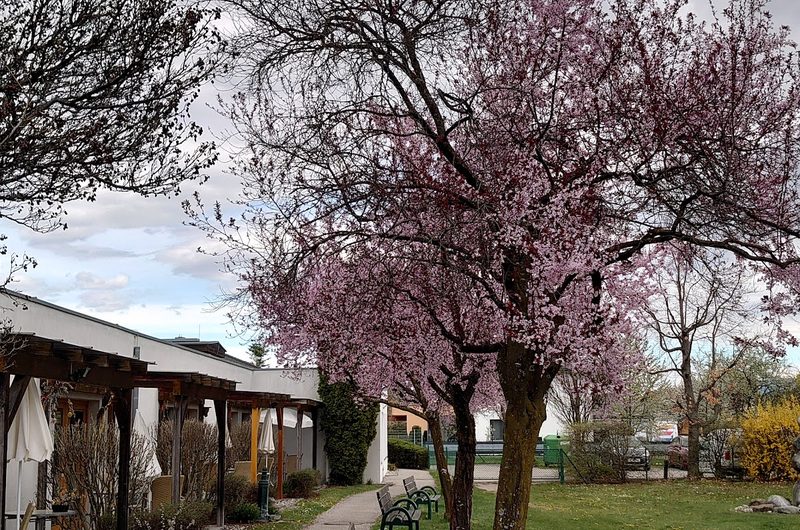 Pflegeheim “Wie daham…” Generationenpark Welzenegg – Außenansicht